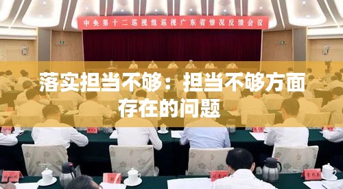 落实担当不够：担当不够方面存在的问题 