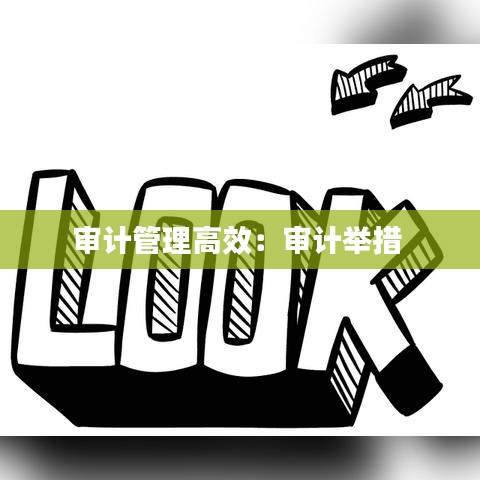 审计管理高效：审计举措 