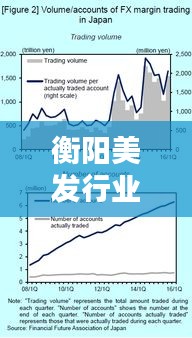 衡阳美发行业趋势深度解析，最新行情报告出炉！