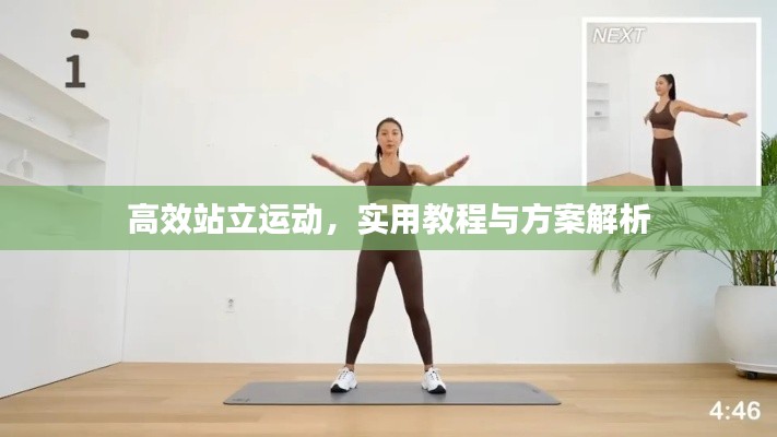 高效站立运动，实用教程与方案解析
