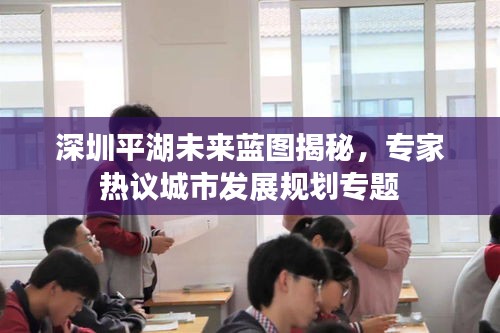 深圳平湖未来蓝图揭秘，专家热议城市发展规划专题