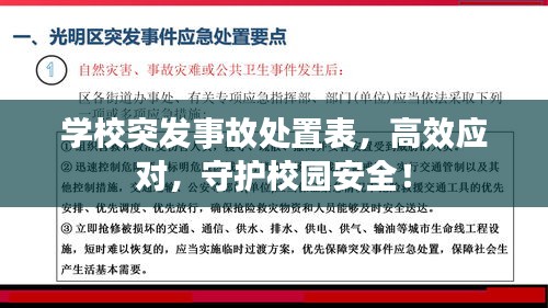 学校突发事故处置表，高效应对，守护校园安全！