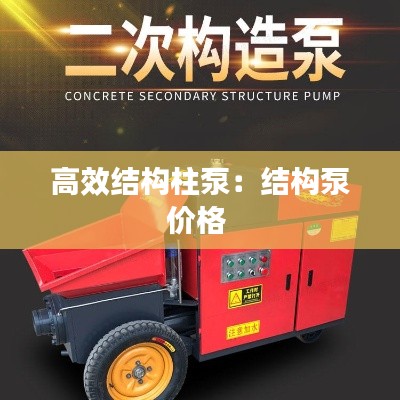 高效结构柱泵：结构泵价格 