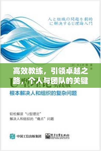 高效教练，引领卓越之路，个人与团队的关键力量！