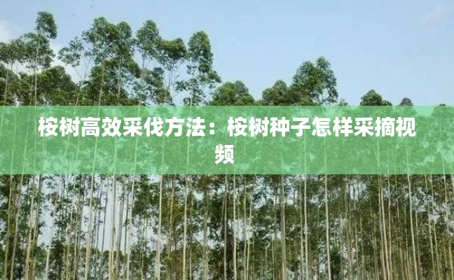 倦鸟思归 第2页