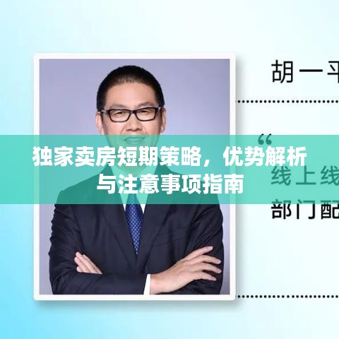 独家卖房短期策略，优势解析与注意事项指南