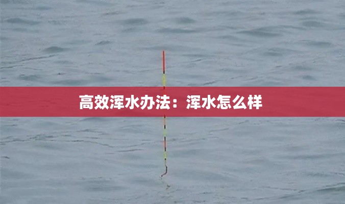 高效浑水办法：浑水怎么样 