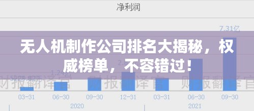 无人机制作公司排名大揭秘，权威榜单，不容错过！