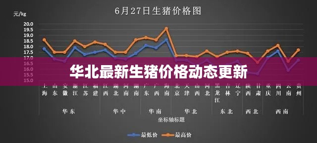 华北最新生猪价格动态更新