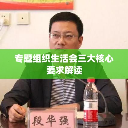 专题组织生活会三大核心要求解读