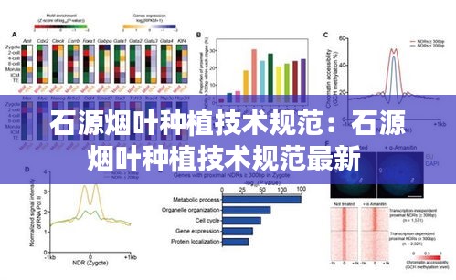 石源烟叶种植技术规范：石源烟叶种植技术规范最新 
