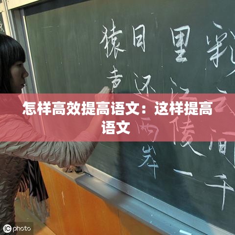 怎样高效提高语文：这样提高语文 
