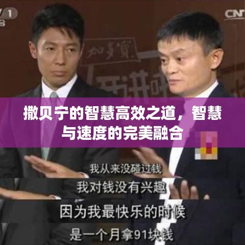 撒贝宁的智慧高效之道，智慧与速度的完美融合
