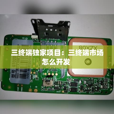 三终端独家项目：三终端市场怎么开发 