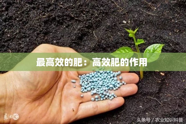 最高效的肥：高效肥的作用 
