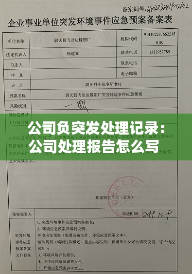 公司负突发处理记录：公司处理报告怎么写 