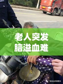 老人突发脑溢血难产：老年人脑溢血死亡率 