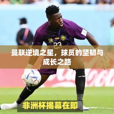 曼联逆境之星，球员的坚韧与成长之路