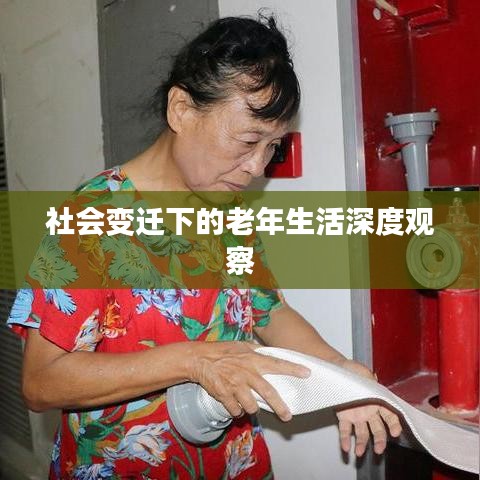 社会变迁下的老年生活深度观察
