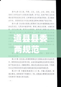 道县县委两规范一规定：两规定一守则精简版 