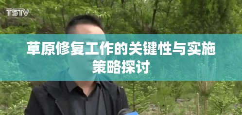 草原修复工作的关键性与实施策略探讨