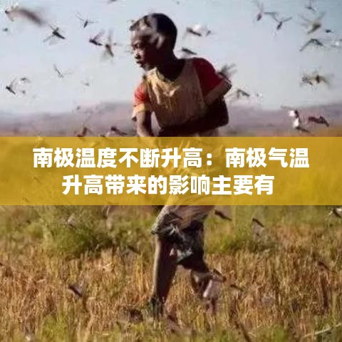 南极温度不断升高：南极气温升高带来的影响主要有 
