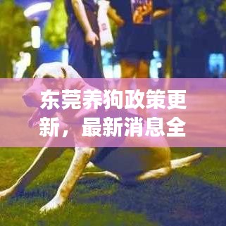 东莞养狗政策更新，最新消息全面解读