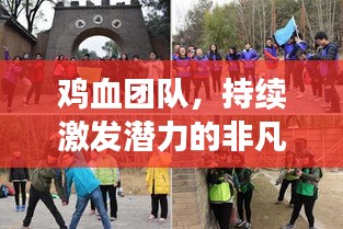 鸡血团队，持续激发潜力的非凡集体