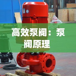 高效泵阀：泵阀原理 