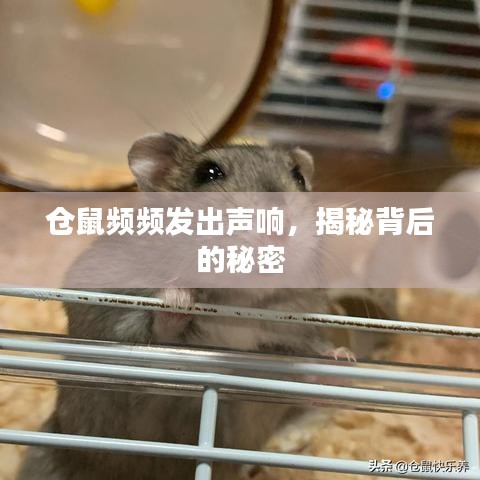 鸟飞兔走 第2页