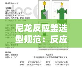 尼龙反应釜选型规范：反应釜设计说明书 