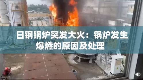张皇失措 第2页