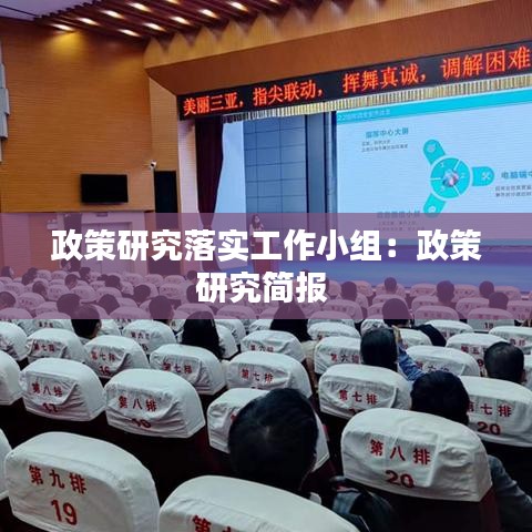 政策研究落实工作小组：政策研究简报 
