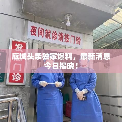 应城头条独家爆料，最新消息今日揭晓！