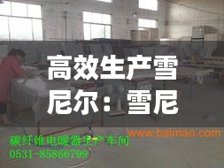 高效生产雪尼尔：雪尼尔工厂 