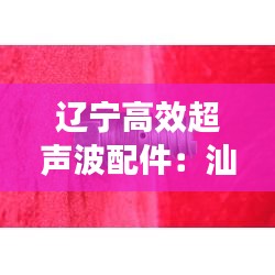 辽宁高效超声波配件：汕超超声波 