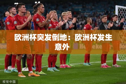 欧洲杯突发倒地：欧洲杯发生意外 