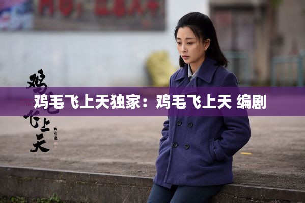 鸡毛飞上天独家：鸡毛飞上天 编剧 