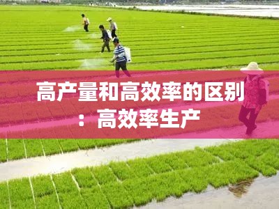 高产量和高效率的区别：高效率生产 
