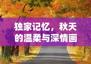 独家记忆，秋天的温柔与深情画卷
