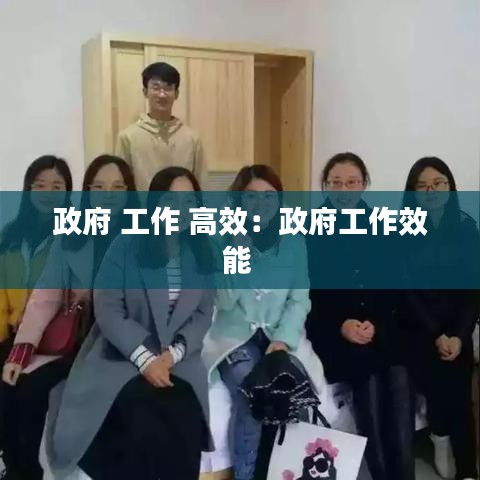 政府 工作 高效：政府工作效能 