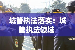 城管执法落实：城管执法领域 