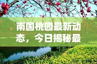 南国桃园最新动态，今日揭秘最新消息！