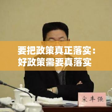 要把政策真正落实：好政策需要真落实 