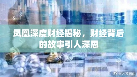 凤凰深度财经揭秘，财经背后的故事引人深思