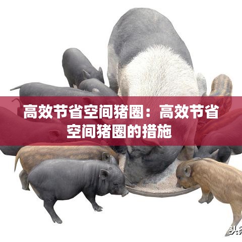 高效节省空间猪圈：高效节省空间猪圈的措施 