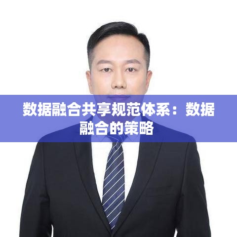 数据融合共享规范体系：数据融合的策略 