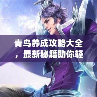 青鸟养成攻略大全，最新秘籍助你轻松培养青鸟王者！