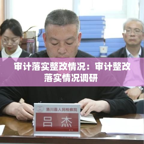 审计落实整改情况：审计整改落实情况调研 