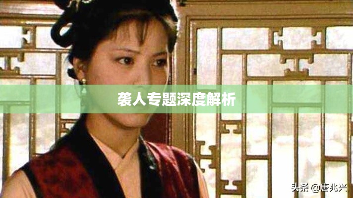 袭人专题深度解析